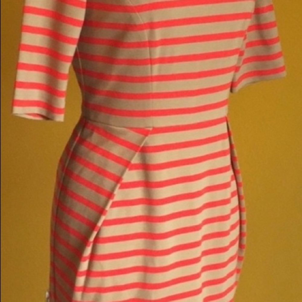 Fossil Striped Dress